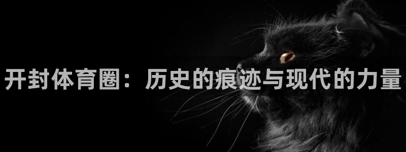欧亿体育官方正版app神州：开封体育圈：历史的痕迹与