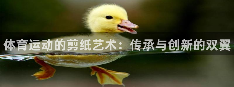 oety欧亿体育官网下载招商电话地址查询：体育运动的