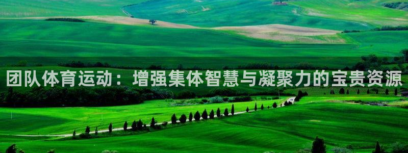 oety欧亿体育官网下载平台注册：团队体育运动：增强集体智慧