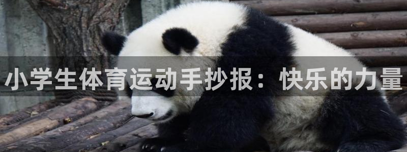 欧亿体育官方正版app娱乐是那个系列的台子：小学生体