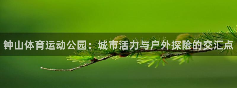 oety欧亿体育官网下载平台假的吗是真的吗：钟山体育运动公园