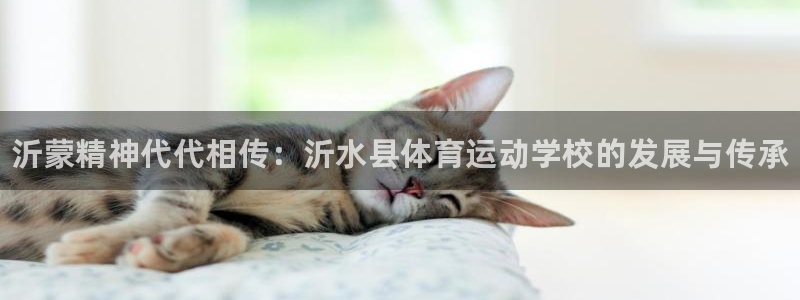 oety欧亿体育官网下载平台是正规平台吗：沂蒙精神代代相传：