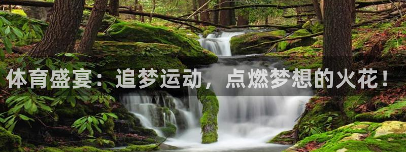 oety欧亿体育官网下载招商电话号码是多少号：体育盛宴：追梦