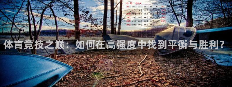欧亿体育官方正版app娱乐代理怎么样：体育竞技之巅：