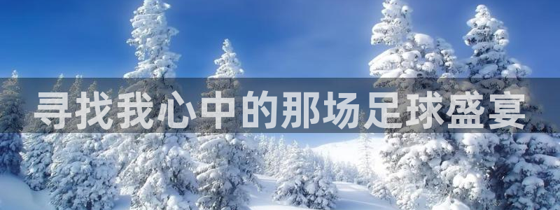 欧亿体育官方集团官网：寻找我心中的那场足球盛宴
