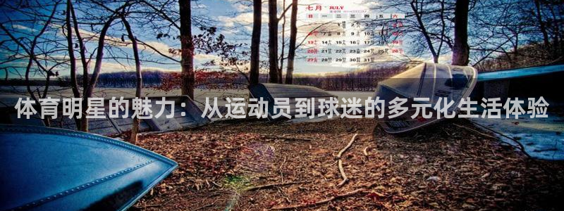 oety欧亿体育官网下载招商：体育明星的魅力：从运动员到球迷
