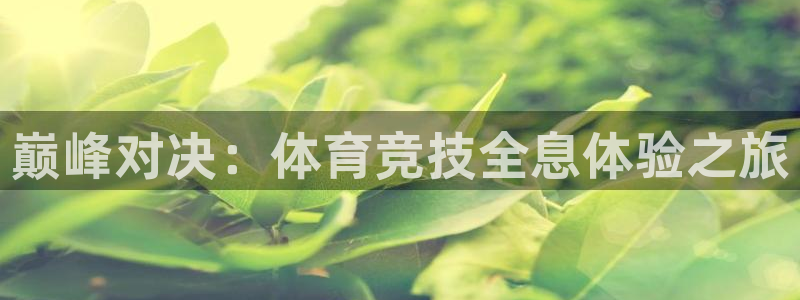 欧亿体育官方正版app神州
