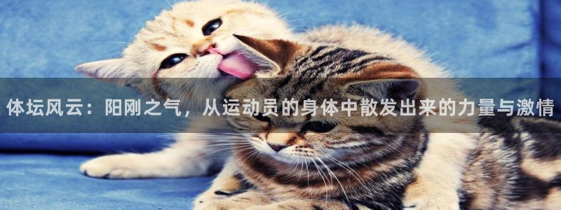 欧亿体育官方正版app科技