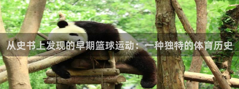 欧亿体育官方正版app官方