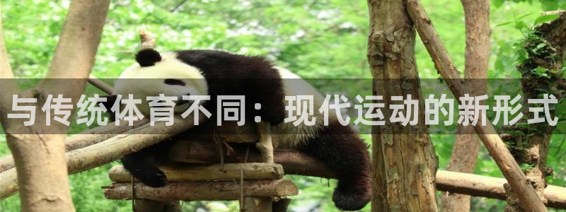 欧亿体育官方正版app娱乐