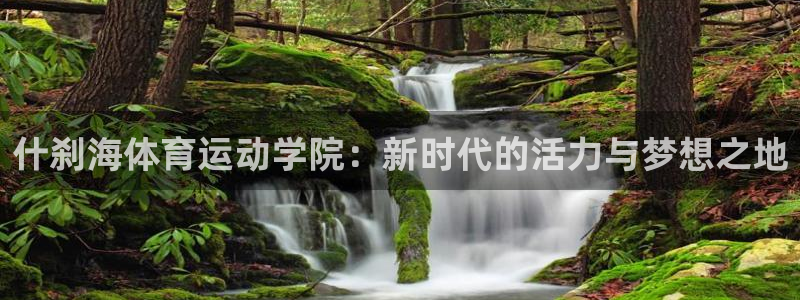 欧亿体育官方正版app娱乐40996