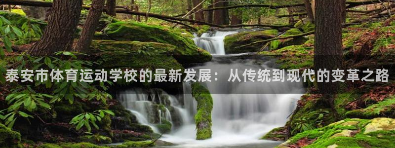 oety欧亿体育官网下载平台注册流程视频：泰安市体育