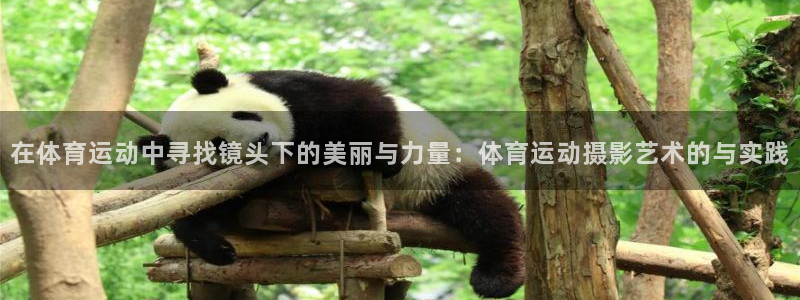 oety欧亿体育官网下载平台注册要钱吗是真的吗：在体育运动中