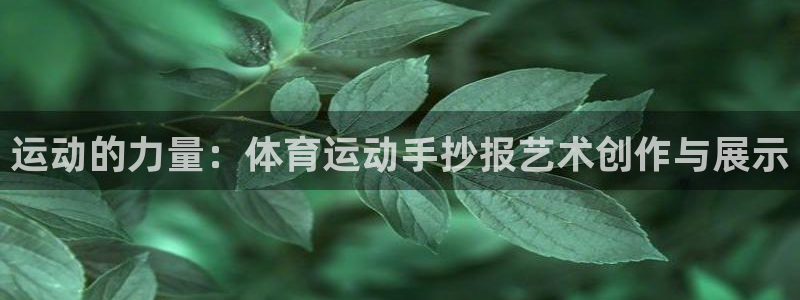欧亿体育官方正版app神州：运动的力量：体育运动手抄报艺术创