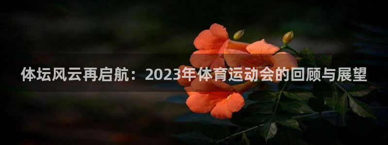 oety欧亿体育官网下载平台注册：体坛风云再启航：2